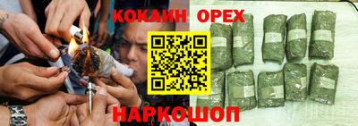 прущие грибы Комсомольск-на-Амуре