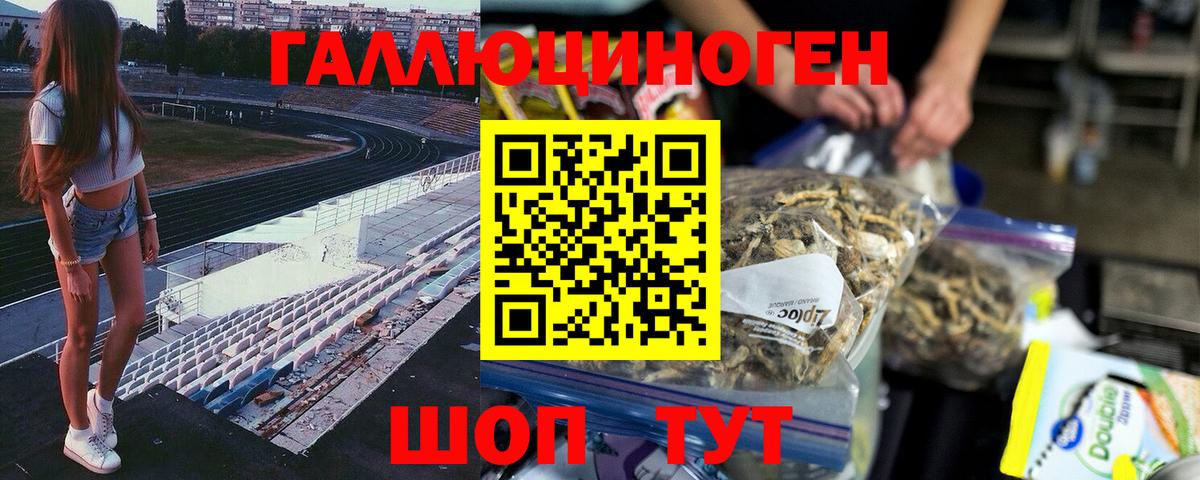 Керчь  Псилоцибиновые грибы Psilocybe  Вход с VPN 