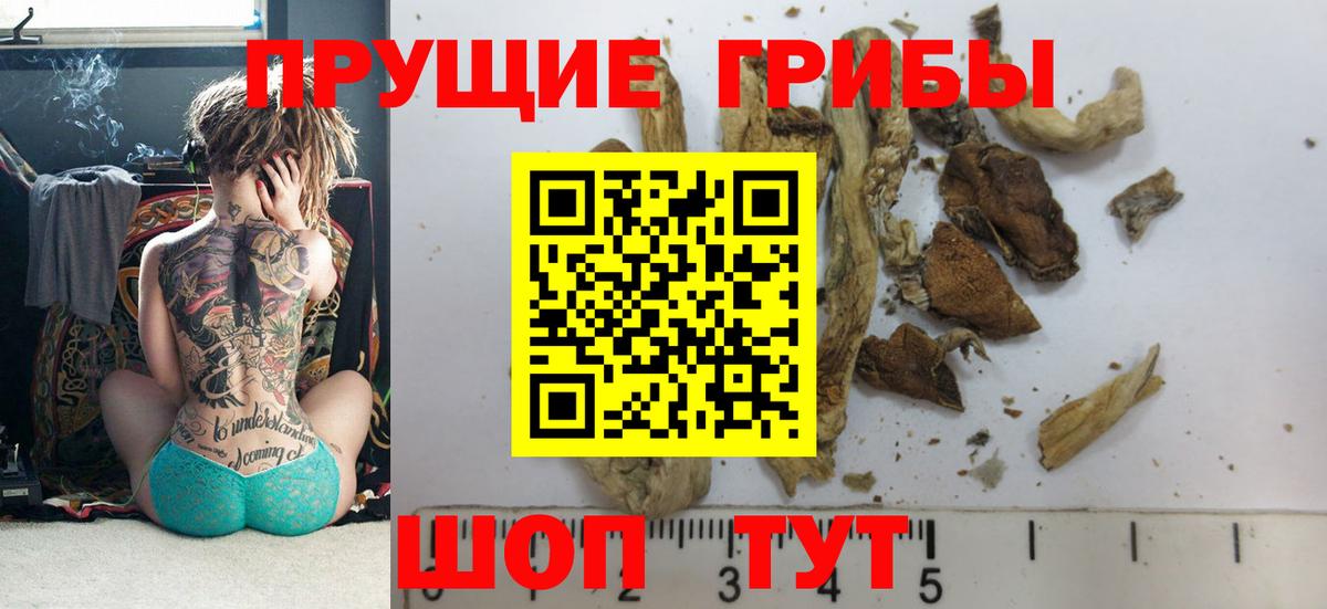 Галлюциногенные грибы Cubensis Керчь